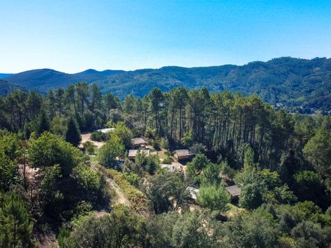 Bivouac nature - Camping Gard - Image N°2