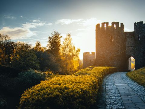 Camping La Berge Fleurie - Camping Gard - Image N°43