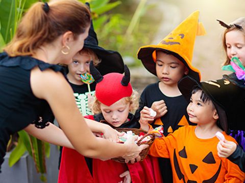 Camping La Berge Fleurie - Camping Gard - Image N°20