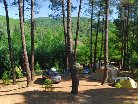 Camping La Forêt - Camping Gard - Image N°3
