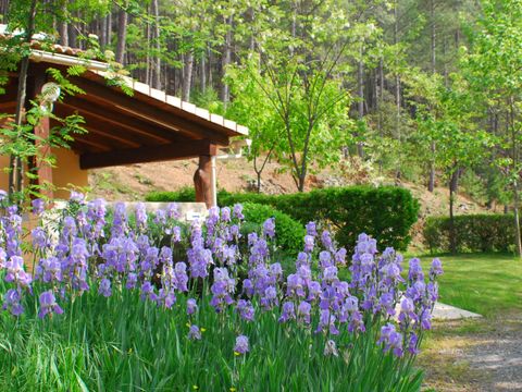 Camping La Forêt - Camping Gard - Image N°2