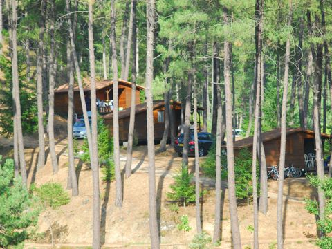 Camping La Forêt - Camping Gard - Image N°4