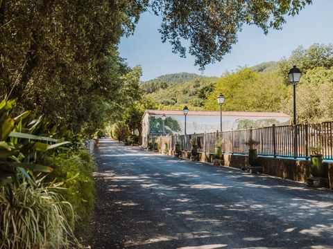 Camping Sunêlia La Clémentine - Camping Gard - Image N°16