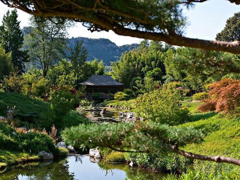 Camping Sunêlia La Clémentine - Camping Gard - Image N°36