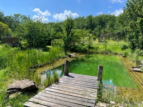 Le Camp - Camping Tarn-et-Garonne - Image N°19