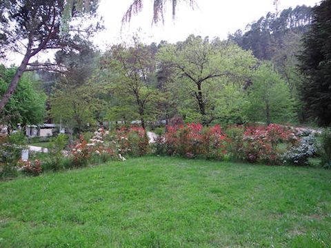 Camping et village vacances Le Martinet - Camping Lozere - Image N°12