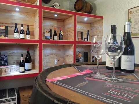 Camping Des Favards - Camping Vaucluse - Image N°11