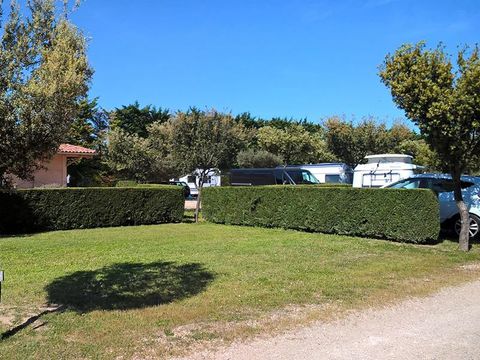Camping Des Favards - Camping Vaucluse - Image N°24