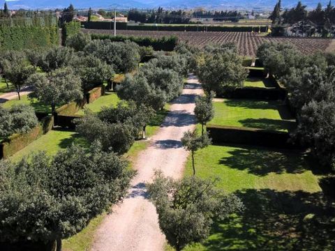 Camping Des Favards - Camping Vaucluse - Image N°10