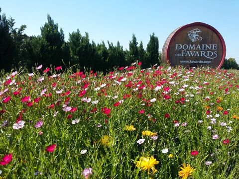 Camping Des Favards - Camping Vaucluse - Image N°7