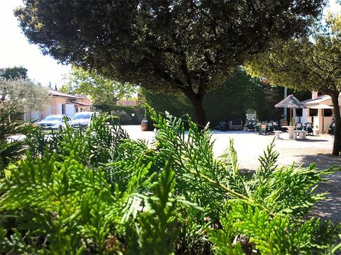 Camping Des Favards - Camping Vaucluse - Image N°23