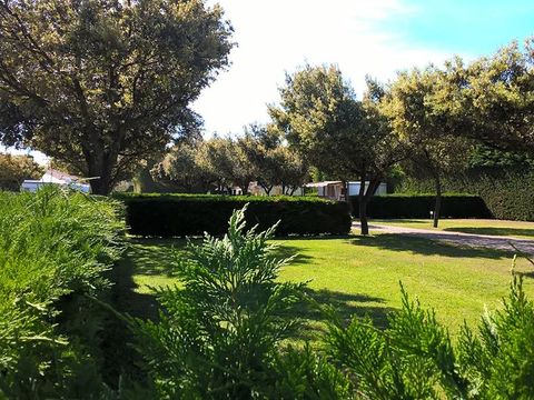 Camping Des Favards - Camping Vaucluse - Image N°18
