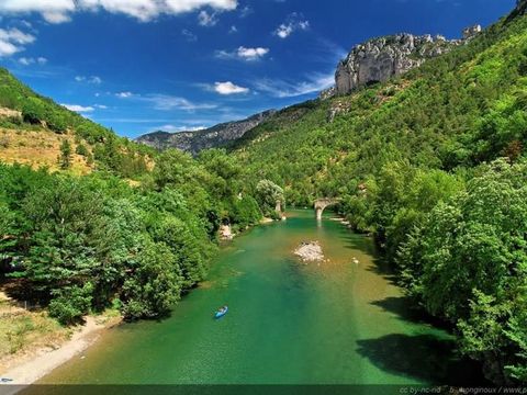 Flower Camping le Peyrelade - Camping Aveyron - Image N°23