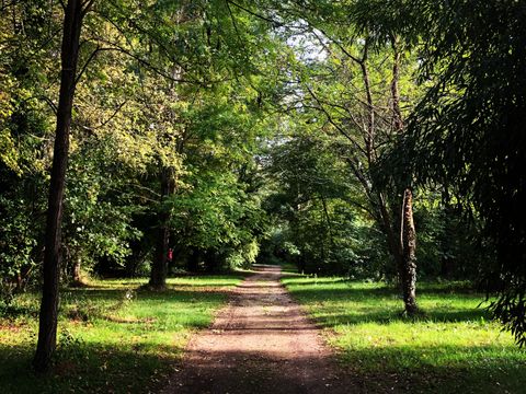 Camping Le Mas De Rome - Camping Gard - Image N°3