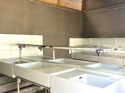TENTE TOILE ET BOIS 4 personnes - Coco sweet (sans sanitaires, sans eau)