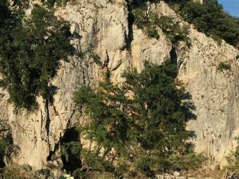Camping Les Dolmens - Camping Gard - Image N°21