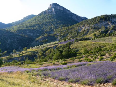 Camping La Fontaine D'annibal - Camping Drome - Image N°42