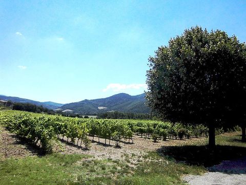 Camping La Fontaine D'annibal - Camping Drome - Image N°38