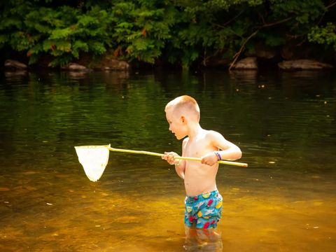 Camping des Drouilhèdes - Camping Gard - Image N°3