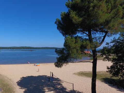 Le Camping Municipal du Lac - Camping Landes - Image N°19