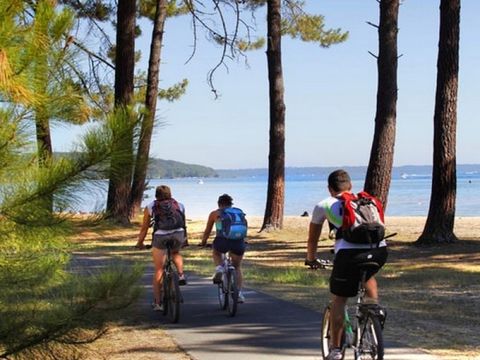 Le Camping Municipal du Lac - Camping Landes - Image N°8
