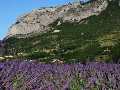 Camping Les Princes D'Orange - Camping Hautes-Alpes - Image N°41