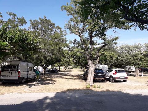 Camping Municipal - Camping Drome - Image N°8