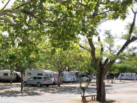 Camping Municipal - Camping Drome - Image N°3
