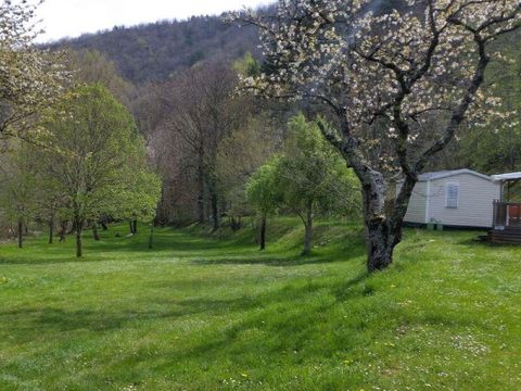 MOBILHOME 3 personnes - Mobil-home Astria Standard 16 m² - 1 chambre + terrasse couverte + TV 2/3 pers