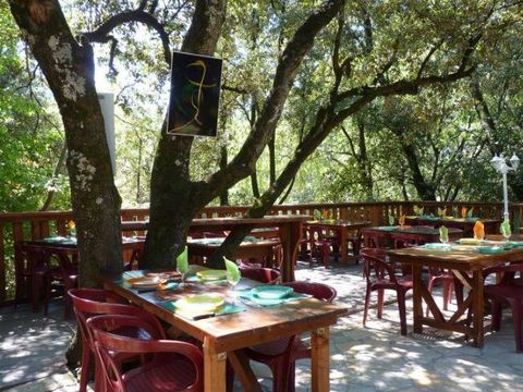 Camp Des Gorges - Camping Ardèche - Image N°9
