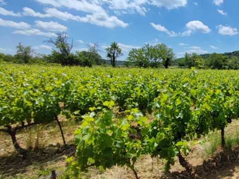 Camping Carrefour De L'Ardèche - Camping Ardèche - Image N°17