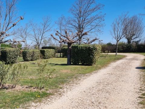 Camping Carrefour De L'Ardèche - Camping Ardèche - Image N°12