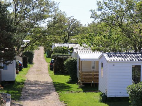 Camping Carrefour De L'Ardèche - Camping Ardèche - Image N°6