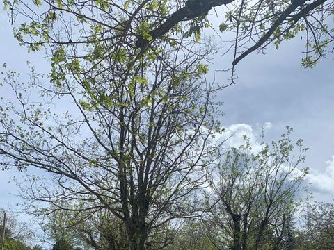 MOBILHOME 8 personnes - Cottage Prestige Famille Clim - 35 m² - 3 chambres - 6/8 pers - climatisation & plancha