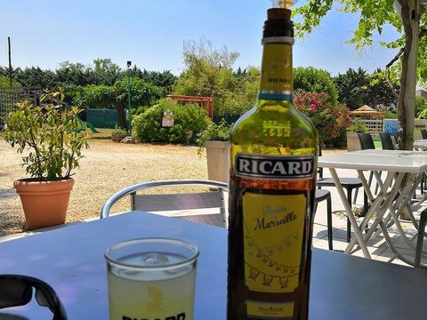 Camping La Residence d'ete - Camping Ardèche - Image N°10