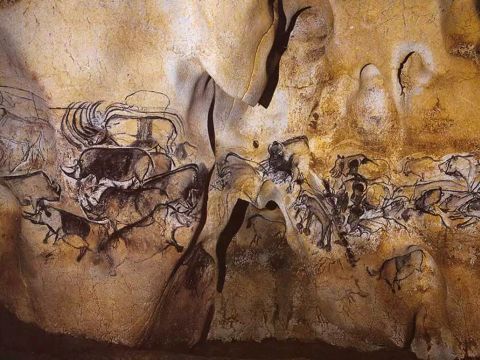 Flower Camping Les Paillotes en Ardeche - Camping Ardèche - Image N°37