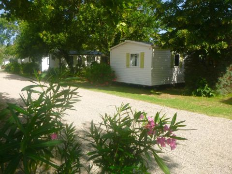 Flower Camping Les Paillotes en Ardeche - Camping Ardèche - Image N°25