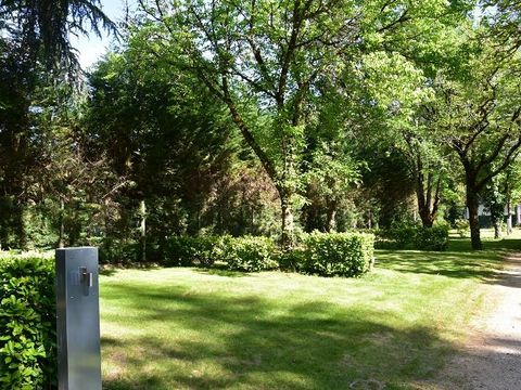 Emplacement - Forfait GRAND STANDARD : 1 tente, caravane ou camping car / 1 voiture / électricité 10A /