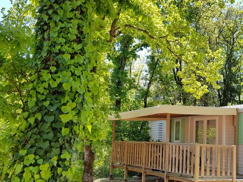 MOBILHOME 6 personnes - Cottage LE CORDELIA - climatisé - 3 chambres - D