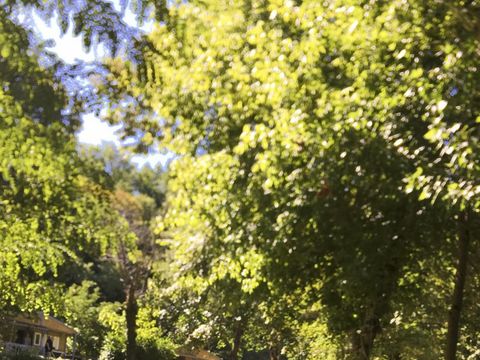 Camping Le Clos Bouyssac - Camping Lot - Image N°13