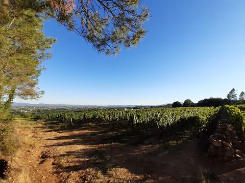 Camping Du Vignal - Camping Ardèche - Image N°6