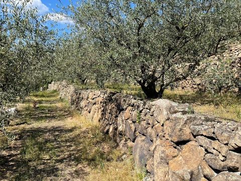 Camping Du Vignal - Camping Ardèche - Image N°11