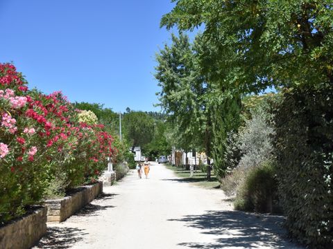 Camping La Nouzarède - Camping Ardèche - Image N°20