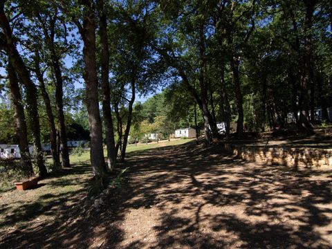 TENTE 4 personnes - Prêt à camper (sans sanitaire)