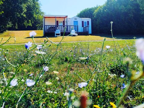 Camping Le Valenty - Camping Lot - Image N°3