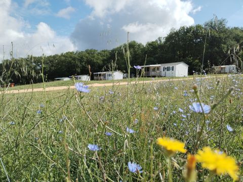 Camping Le Valenty - Camping Lot - Image N°8