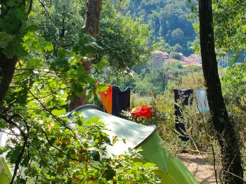 Emplacement - Emplacement Plus 60-75m² : voiture + tente/caravane ou camping-car + électricité 1 pers.