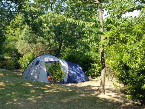 Emplacement - Emplacement Plus 60-75m² : voiture + tente/caravane ou camping-car + électricité 1 pers.