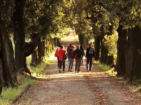 Camping Barco Reale - Camping Pistoia - Image N°27