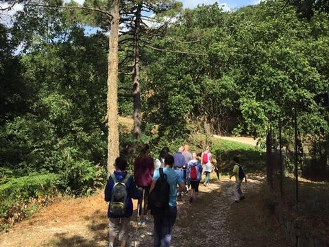 Camping Barco Reale - Camping Pistoia - Image N°28